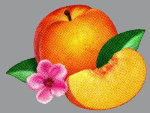 Phoenix: Bankrupt! { VINYL }