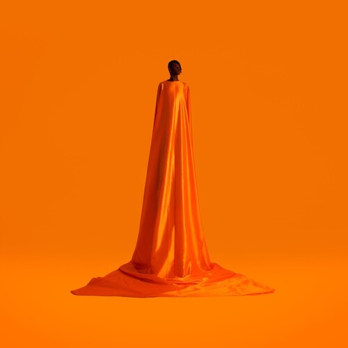 Wayne Snow: Figurine { VINYL }