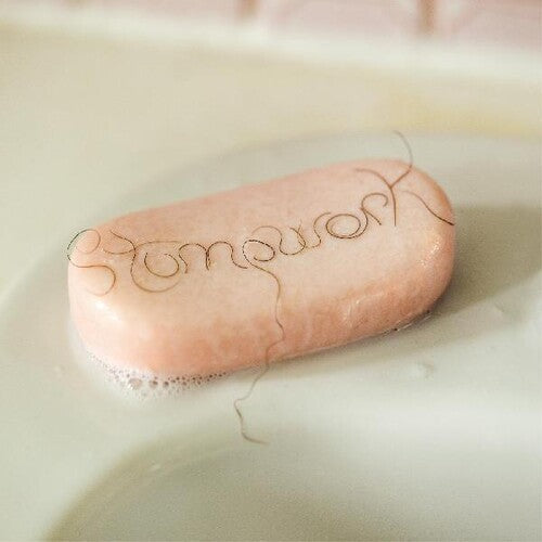 Dry Cleaning: Stumpwork { VINYL }