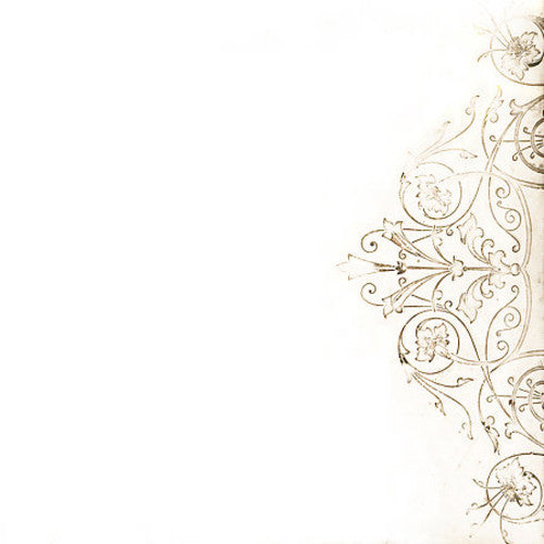 Damien Jurado: And Now That I'm in Your Shadow { VINYL }